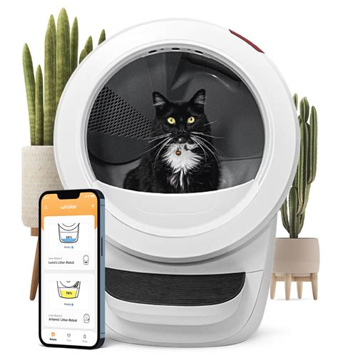 highest rated automatic litter box